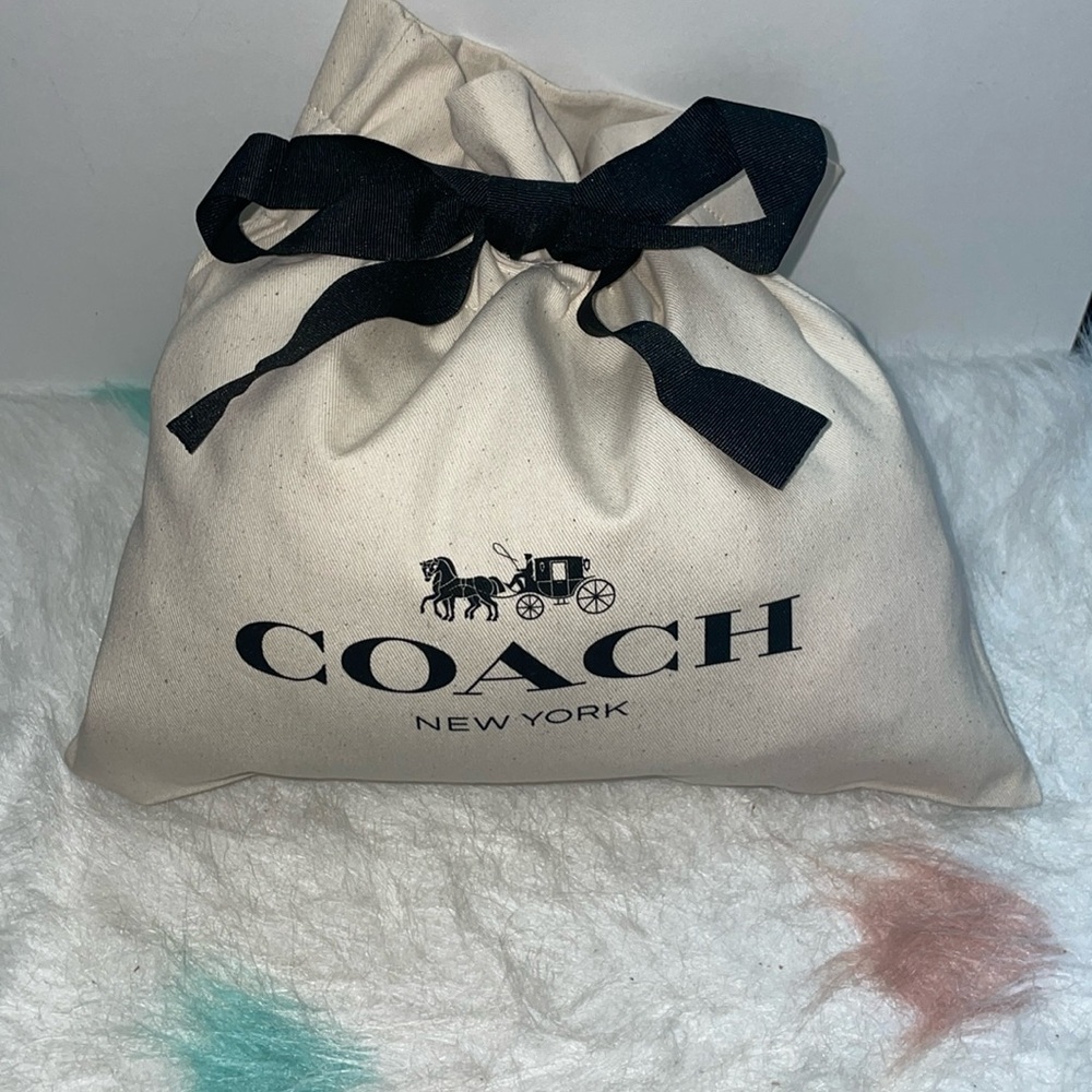 Coach Canvas Small Dust Bag